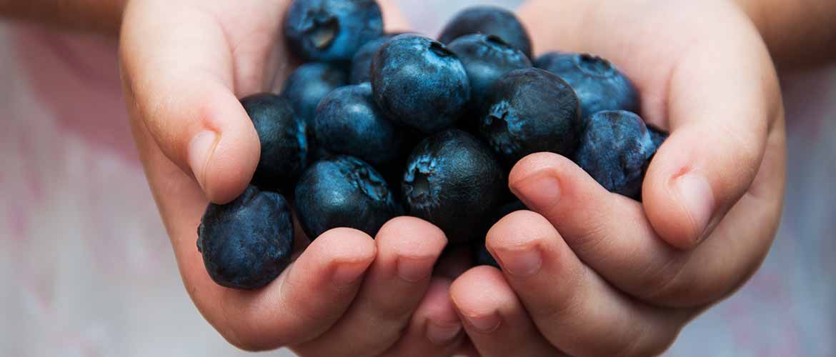 a person holding blueberries in his hands