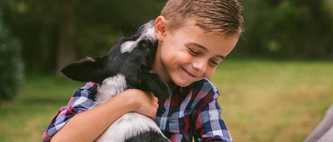 dog licking a young boy