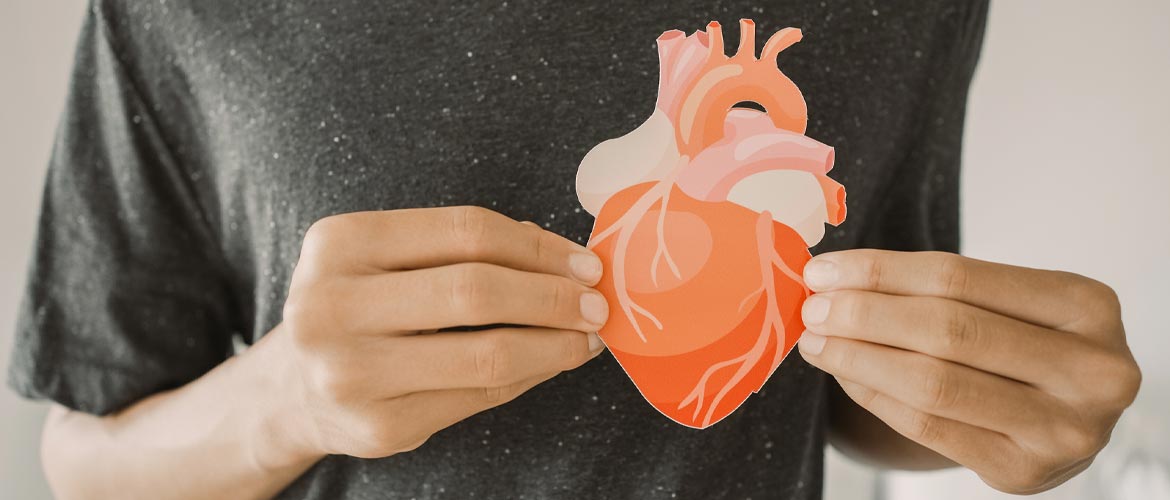 man holding cutout of human heart