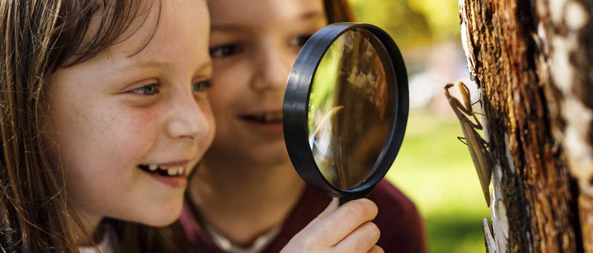 two children using a magnifying glass to look at a mantis on a tree