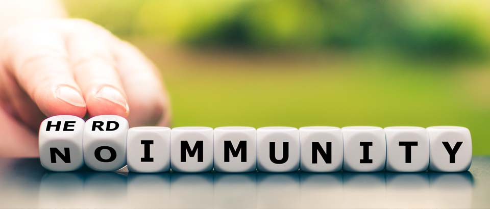 letter blocks spelling herd immunity
