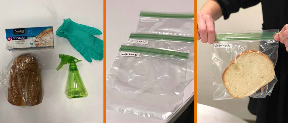 three images of bread in a bag to show the three stages of bread becoming moldy