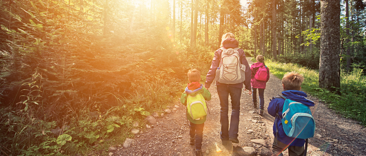 hiking in the woods